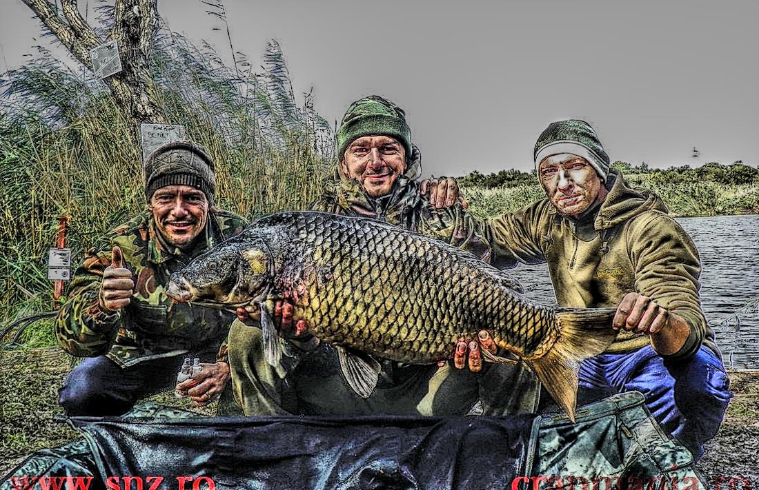 Boiliesmania 2013  (3) - 1031634hdrmode2-2.jpg